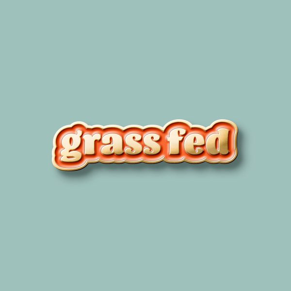 Grass Fed Studio Wordmark Logo Orange Enamel Pin