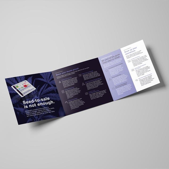 opened nuEra Cannabis tri-fold brochure on light gray background